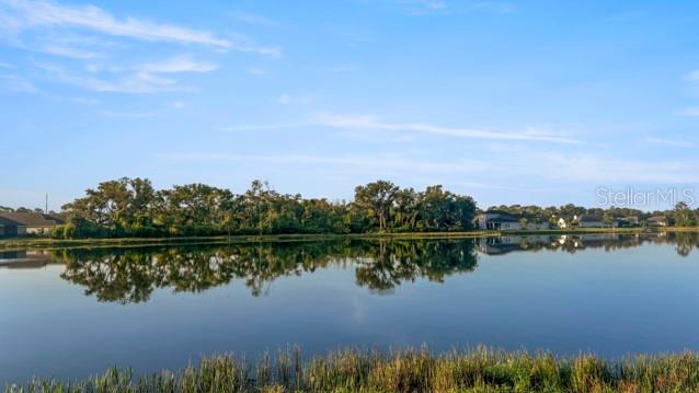 7657 Ridgelake Circle Bradenton, FL 34203 - Photo 43 of 57