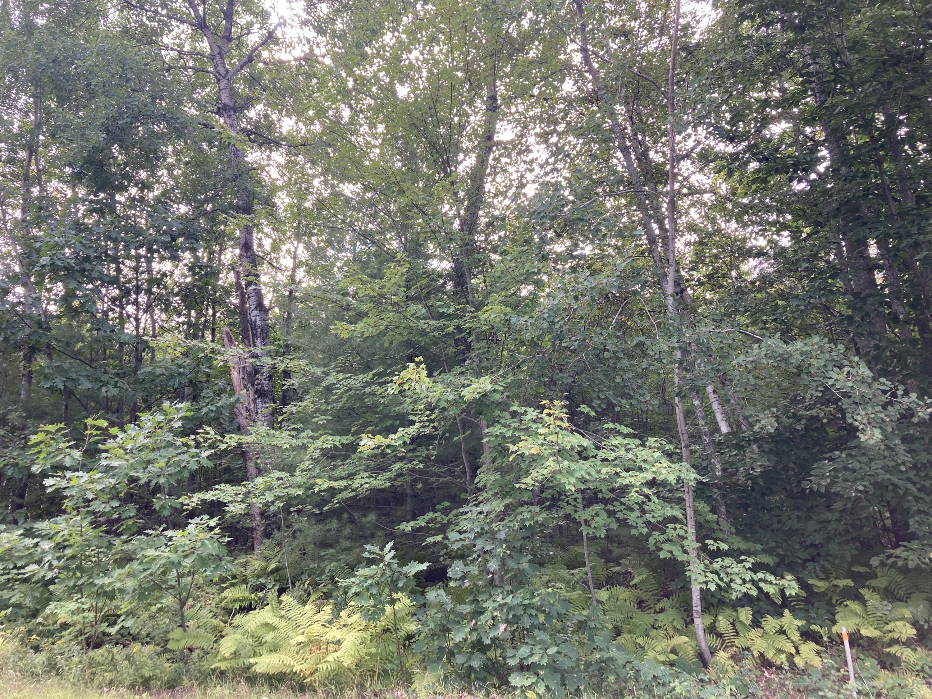 Mr2-l24 East Road Chesterville, ME 04938 - Photo 4 of 4 IMG_3651