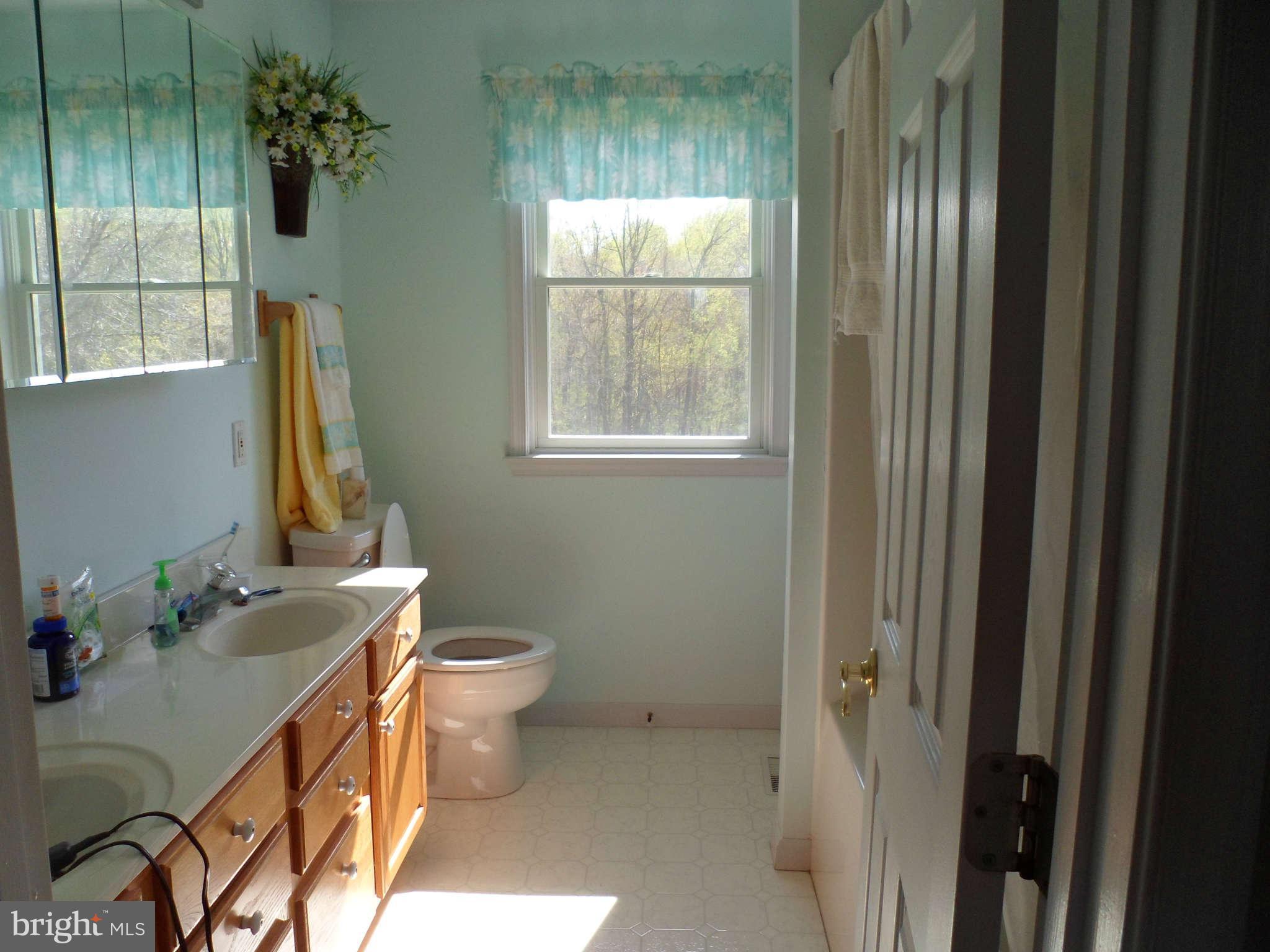 4527 Conowingo Road Darlington, MD 21034 - Photo 19 of 28 Bath (Master)