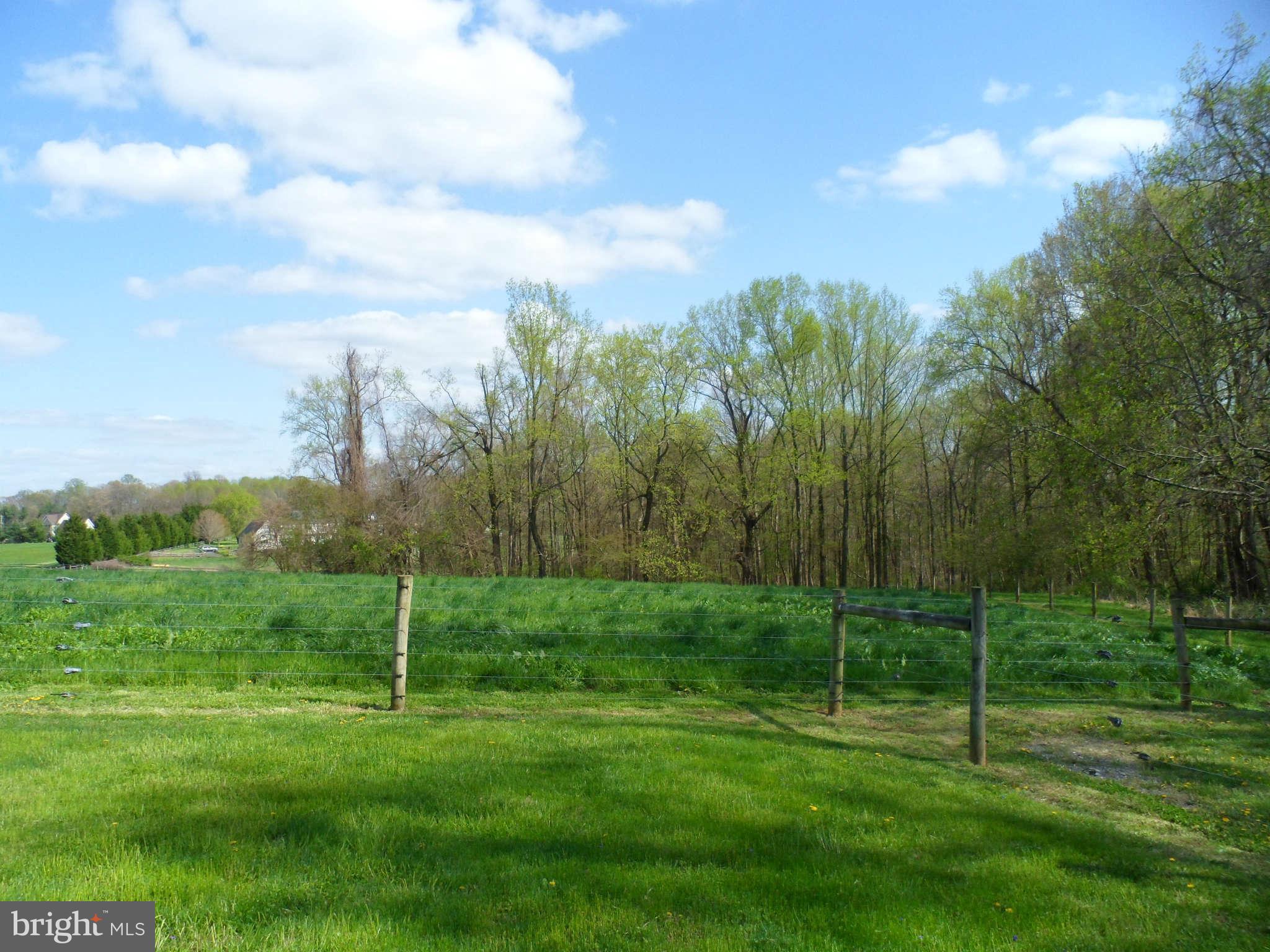 4527 Conowingo Road Darlington, MD 21034 - Photo 8 of 28 View