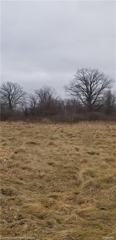 V/l Stow Road Webberville, MI 48892 - Photo 5 of 7