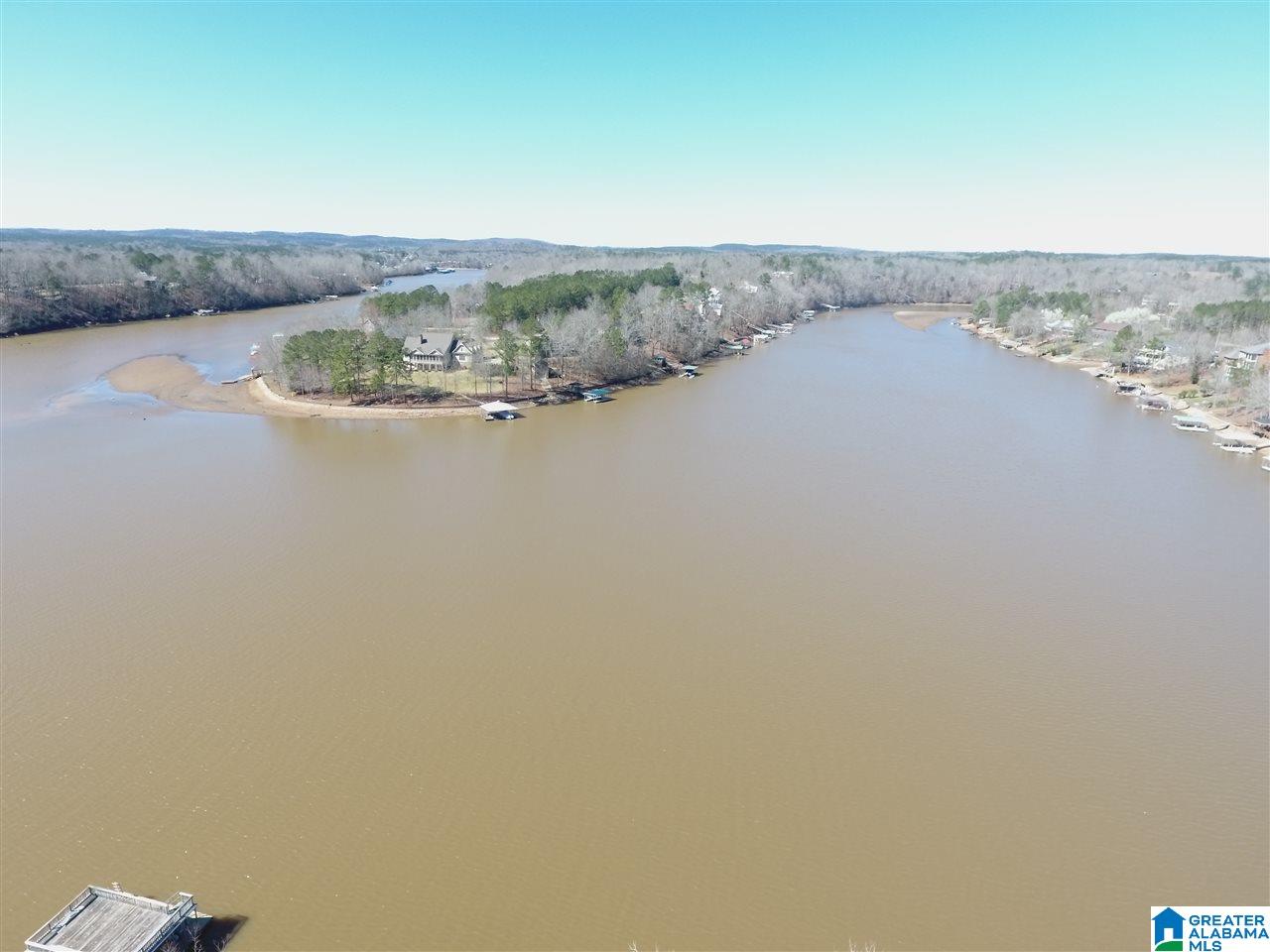 46 Ridgeview Court, Unit LOT #46 Wedowee, AL 36278 - Photo 4 of 15