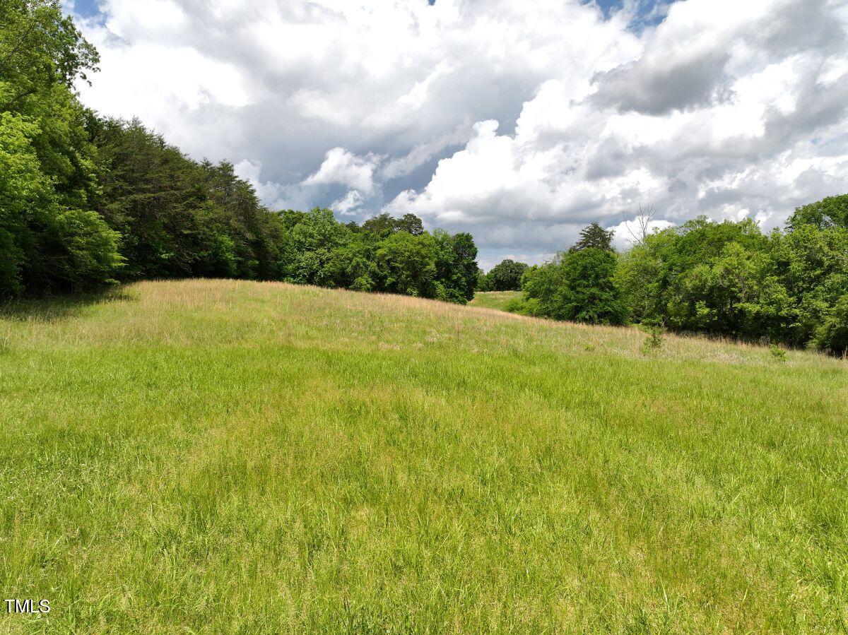 3 Bill Compton Road Blanch, NC 27212 - Photo 15 of 29 14
