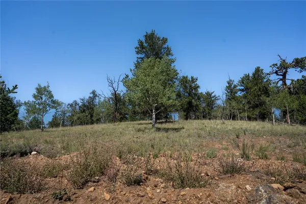 a view of a field with trees in the background