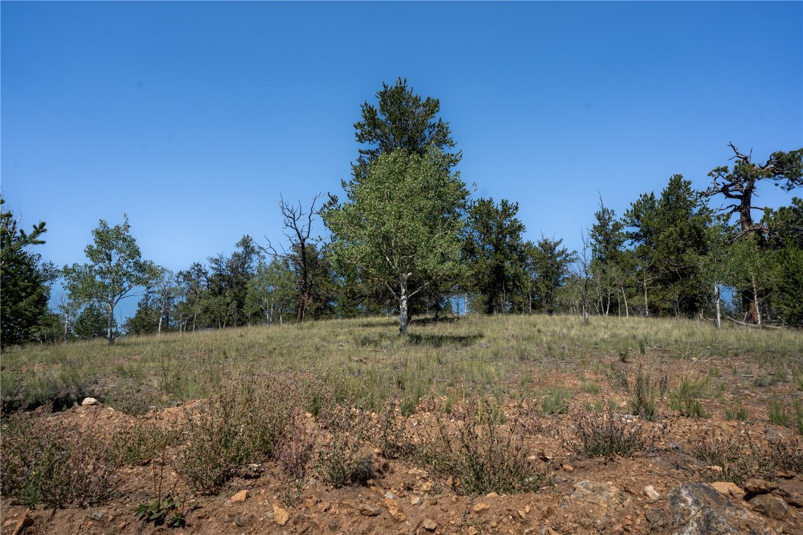 530 Gitche Goone Lane Como, CO 80432 - Photo 3 of 15 a view of a field with trees in the background
