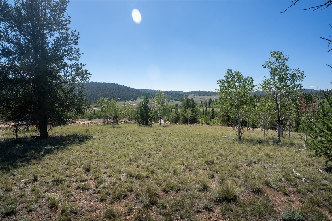 530 Gitche Goone Lane Como, CO 80432 - Photo 5 of 15 a view of a yard with a tree