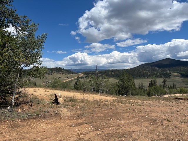 530 Gitche Goone Lane Como, CO 80432 - Photo 7 of 15 a view of a yard