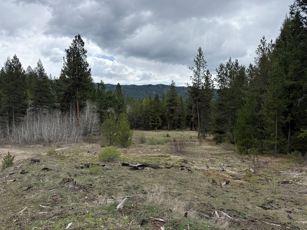 Tbd Horsethief Road Cascade, ID 83611 - Photo 3 of 13 Looking East Towards Horsethief Reservoir from Abo