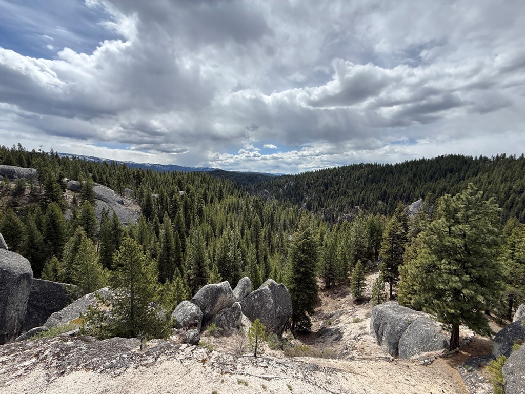 Tbd Horsethief Road Cascade, ID 83611 - Photo 4 of 13 Looking South from the Ridge towards Big Creek