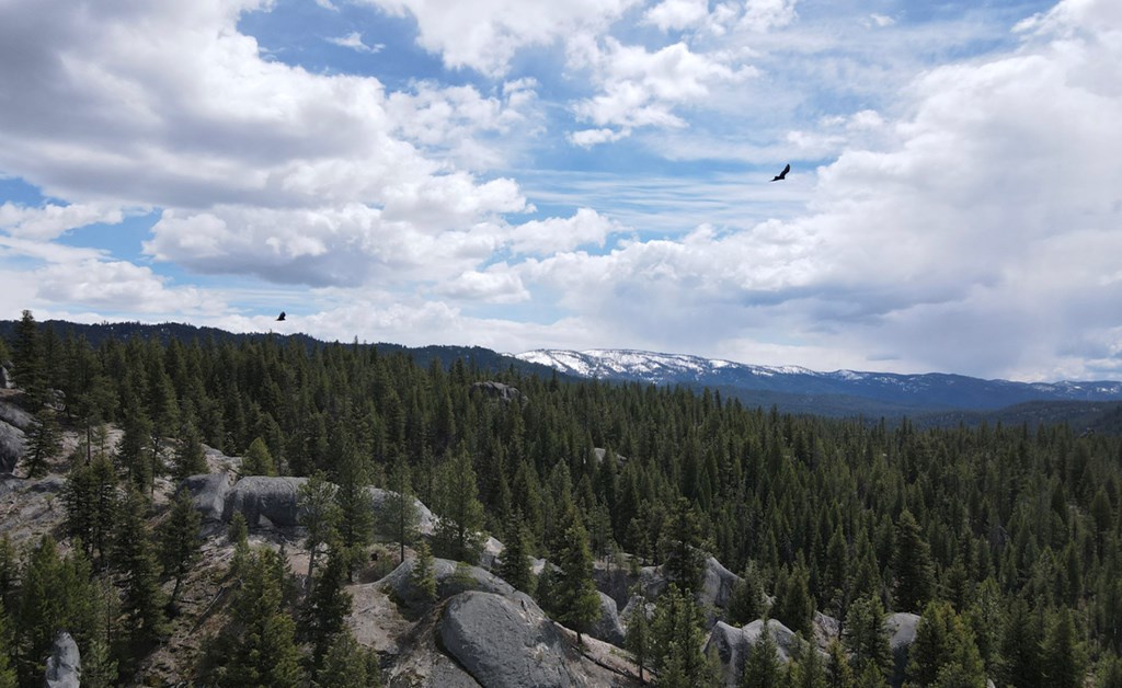 Tbd Horsethief Road Cascade, ID 83611 - Photo 7 of 13 Birds of Prey Soar Above a Western Rock Ridge