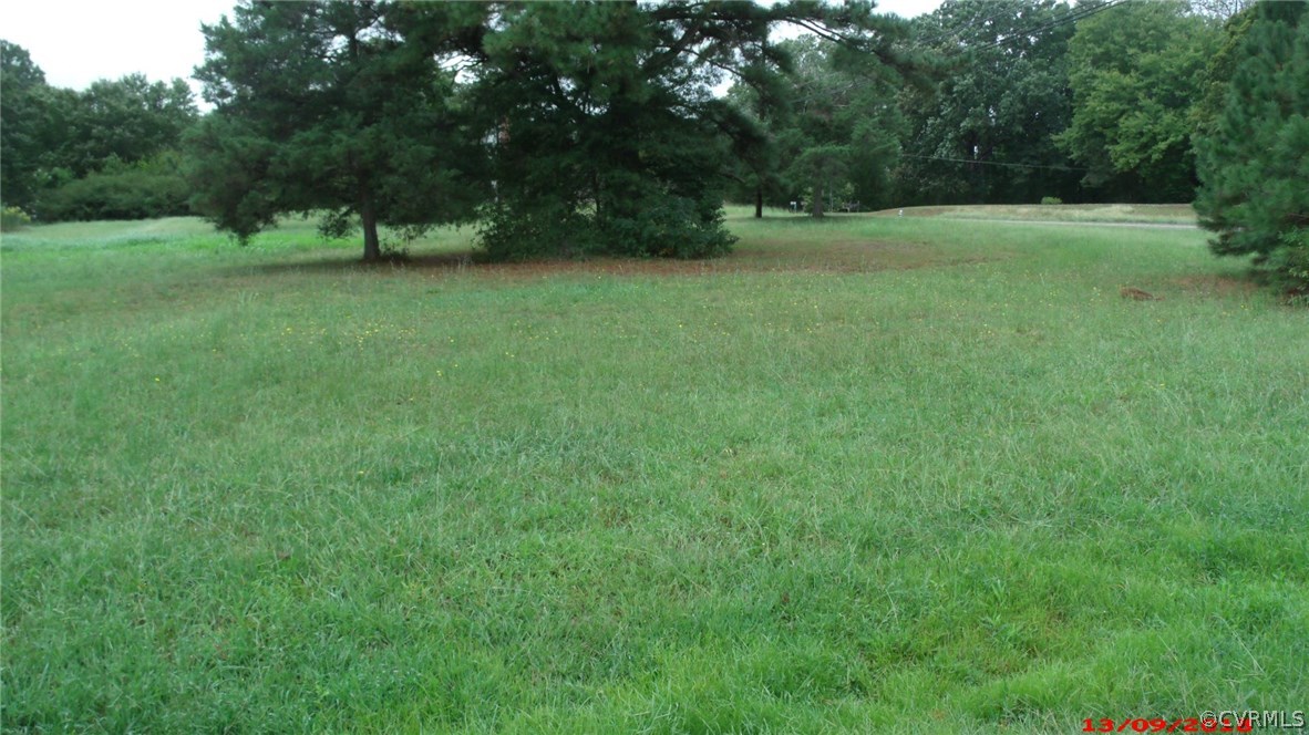 a view of a green yard