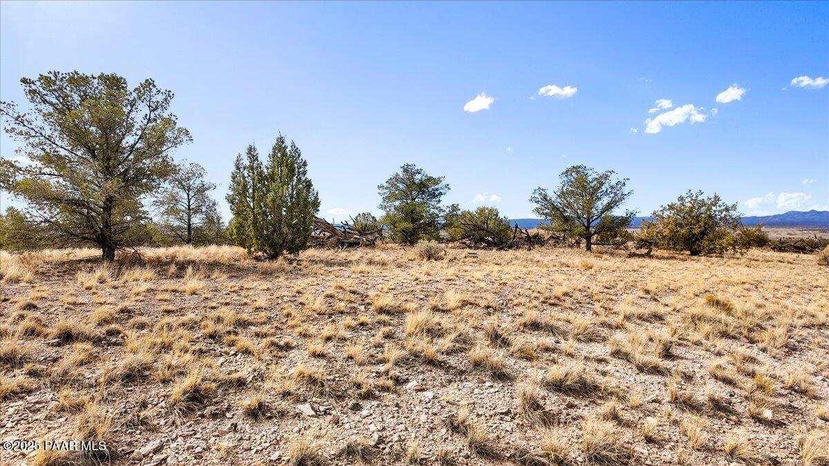 7301 West Rambling Road Prescott, AZ 86305 - Photo 15 of 33 13-A