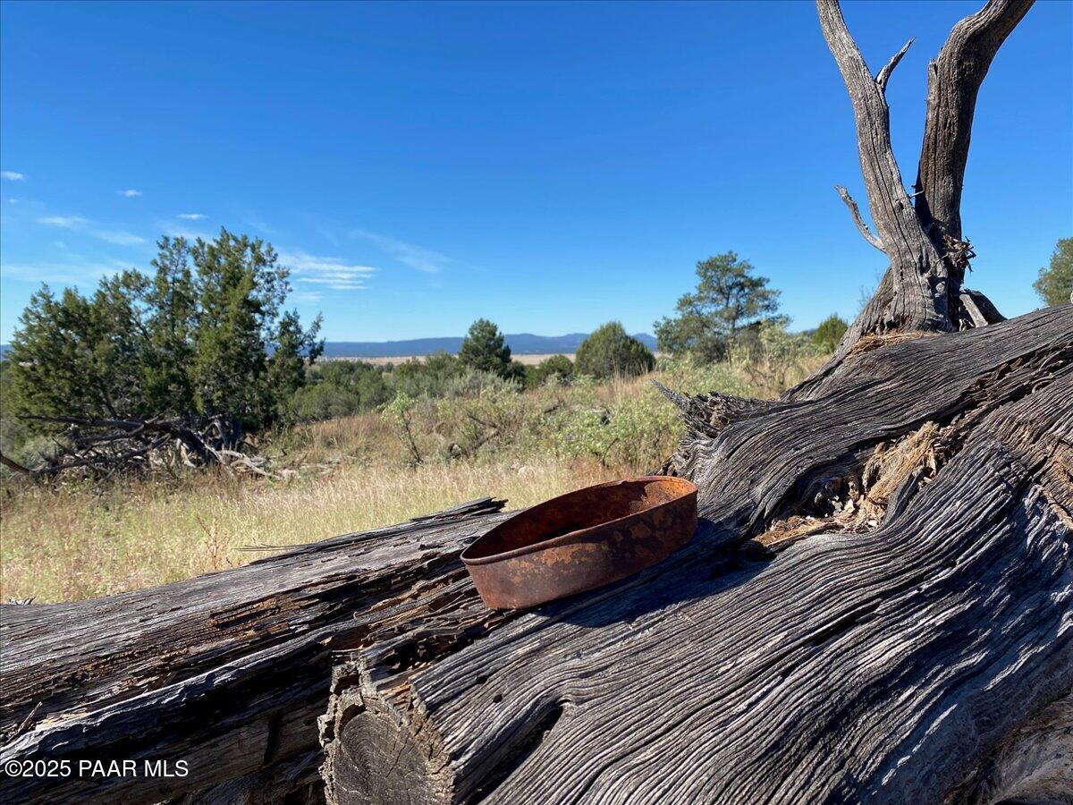 7301 West Rambling Road Prescott, AZ 86305 - Photo 16 of 33 Cool Picture of old Tin Can