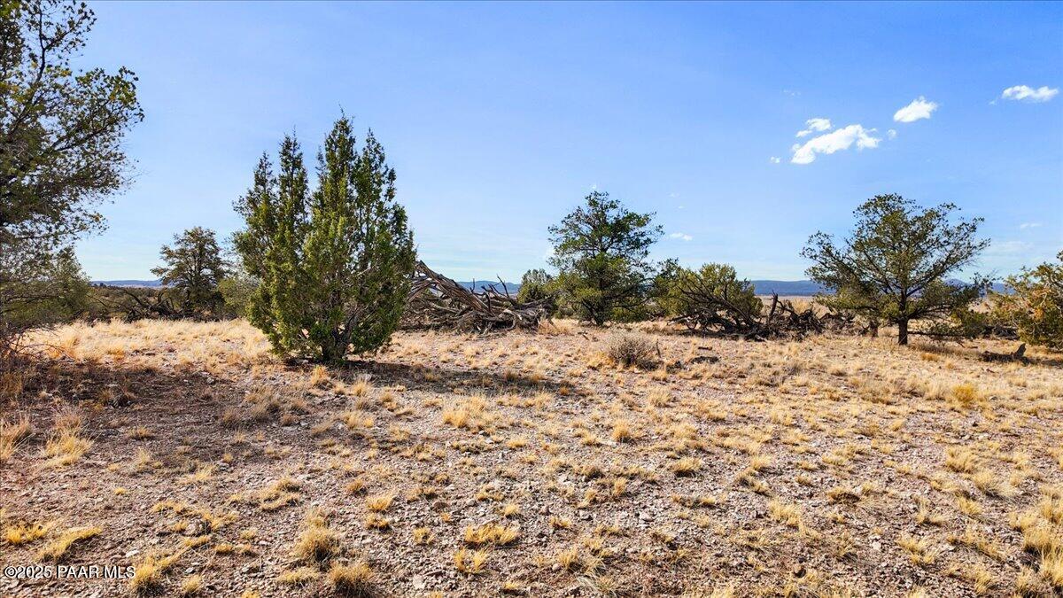 7301 West Rambling Road Prescott, AZ 86305 - Photo 5 of 33 14-A