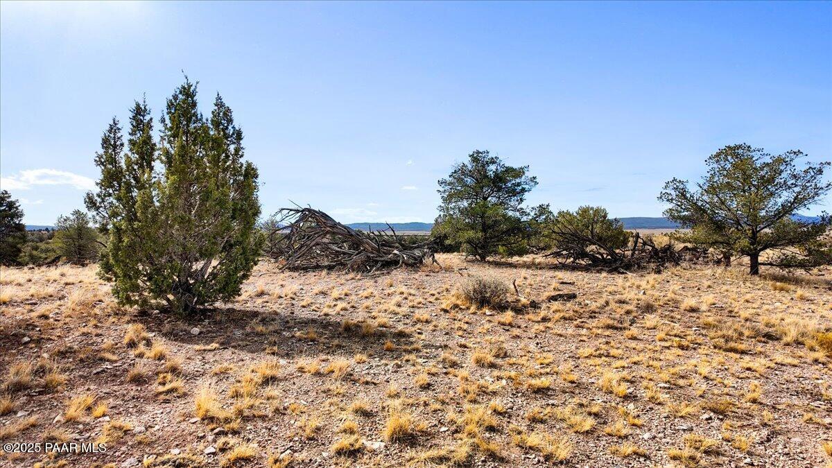7301 West Rambling Road Prescott, AZ 86305 - Photo 6 of 33 15-A