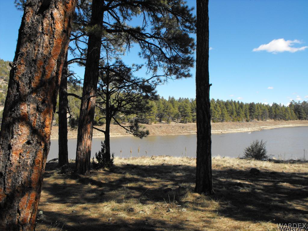 1094 East Broken Wheel Road Williams, AZ 86046 - Photo 29 of 36 Gallery Image 29