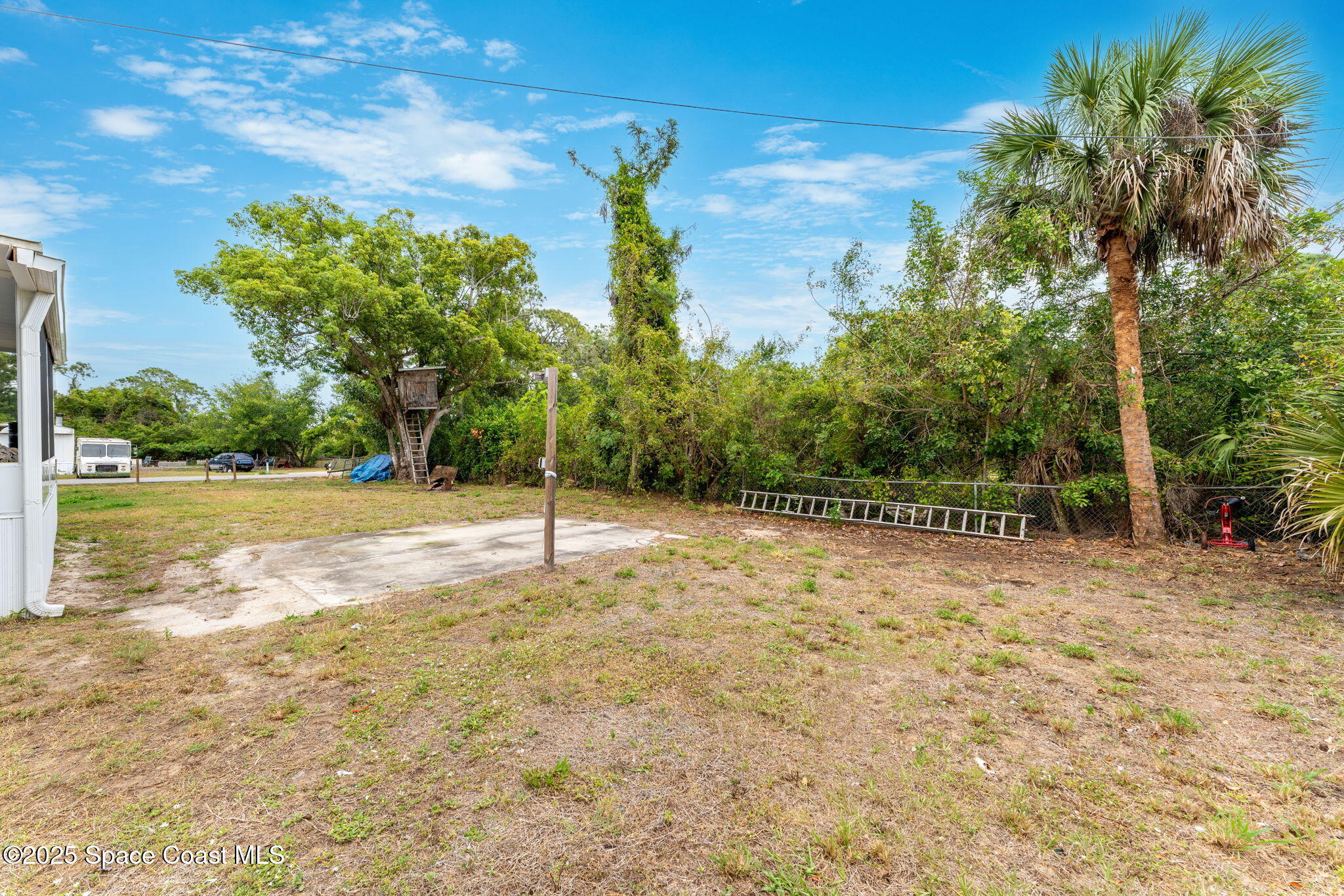 517 Bowman Boulevard Cocoa, FL 32927 - Photo 28 of 38 a view of a yard with a tree