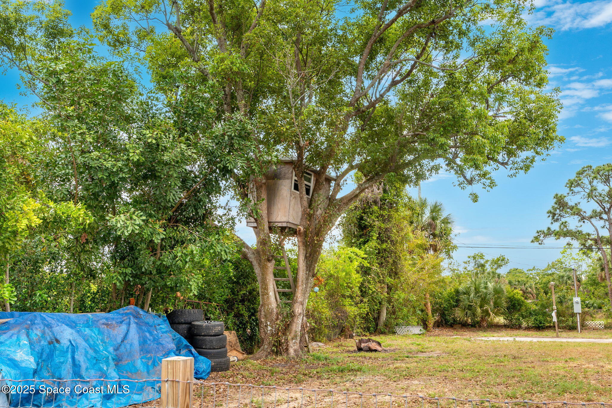 517 Bowman Boulevard Cocoa, FL 32927 - Photo 33 of 38 a view of a yard with plants and trees