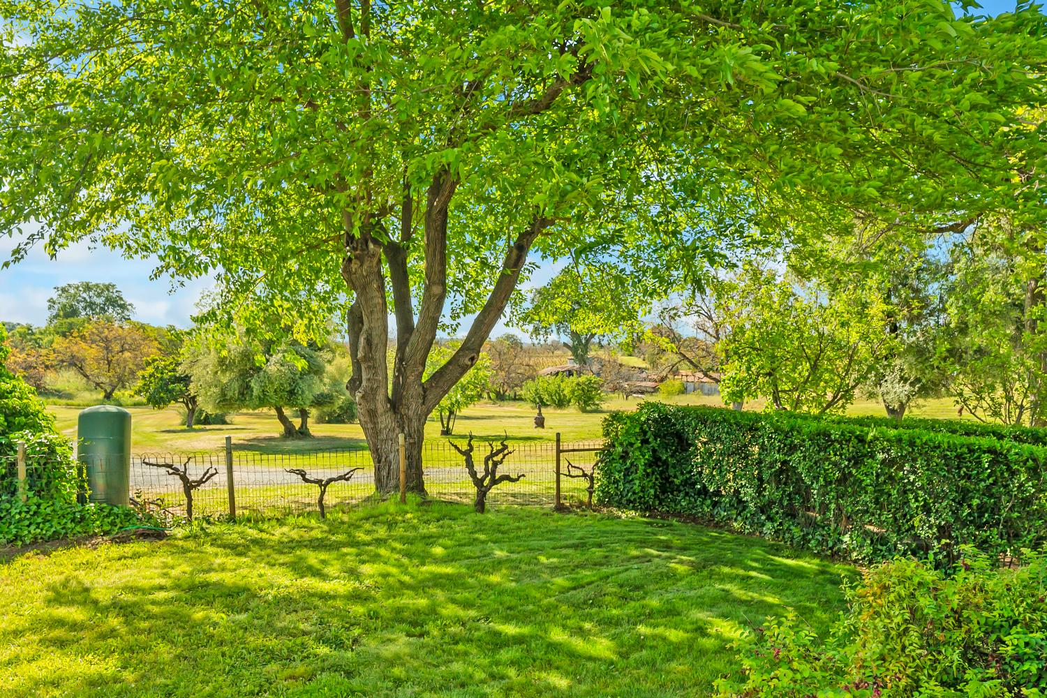 20865 Shenandoah School Road Plymouth, CA 95669 - Photo 13 of 69