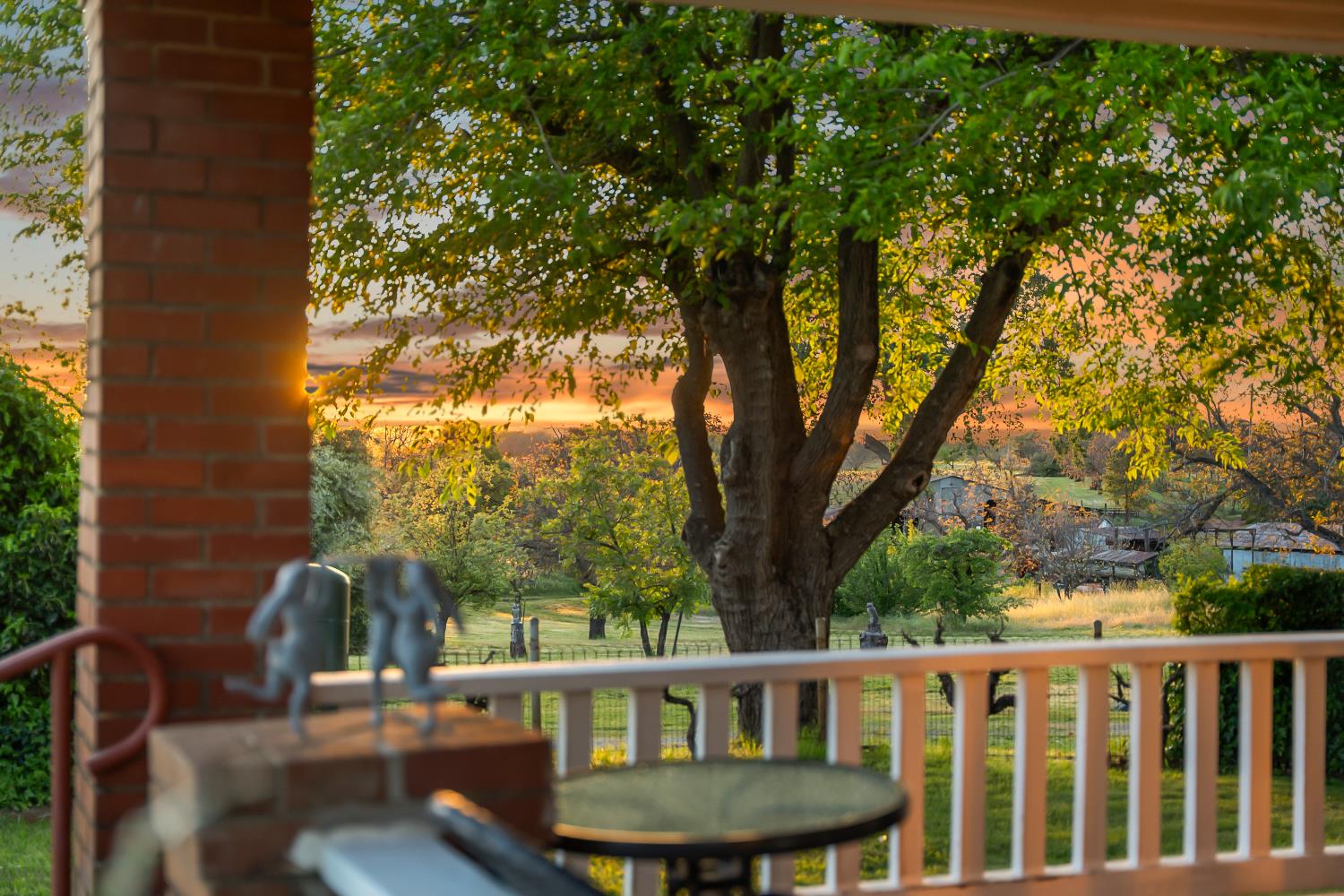 20865 Shenandoah School Road Plymouth, CA 95669 - Photo 3 of 69