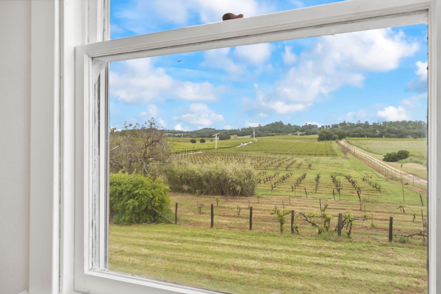 20865 Shenandoah School Road Plymouth, CA 95669 - Photo 41 of 69