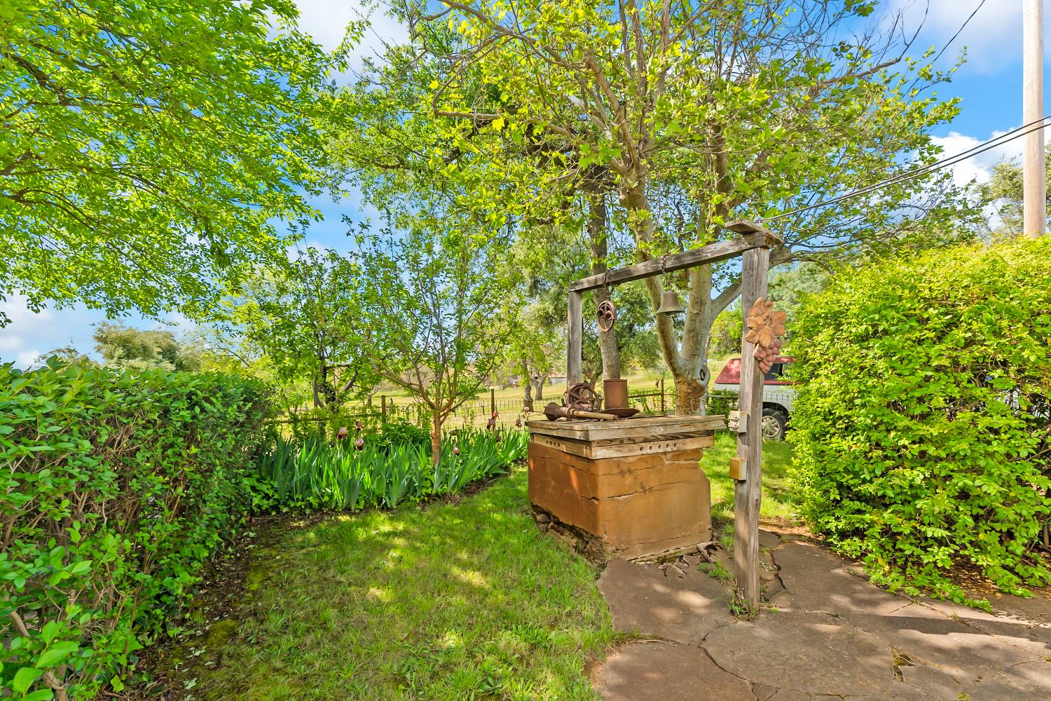 20865 Shenandoah School Road Plymouth, CA 95669 - Photo 42 of 69