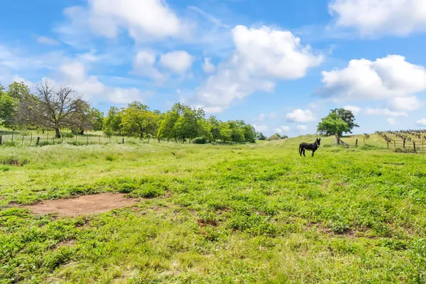 $1,900,000 | 20865 Shenandoah School Road, Plymouth, CA 95669