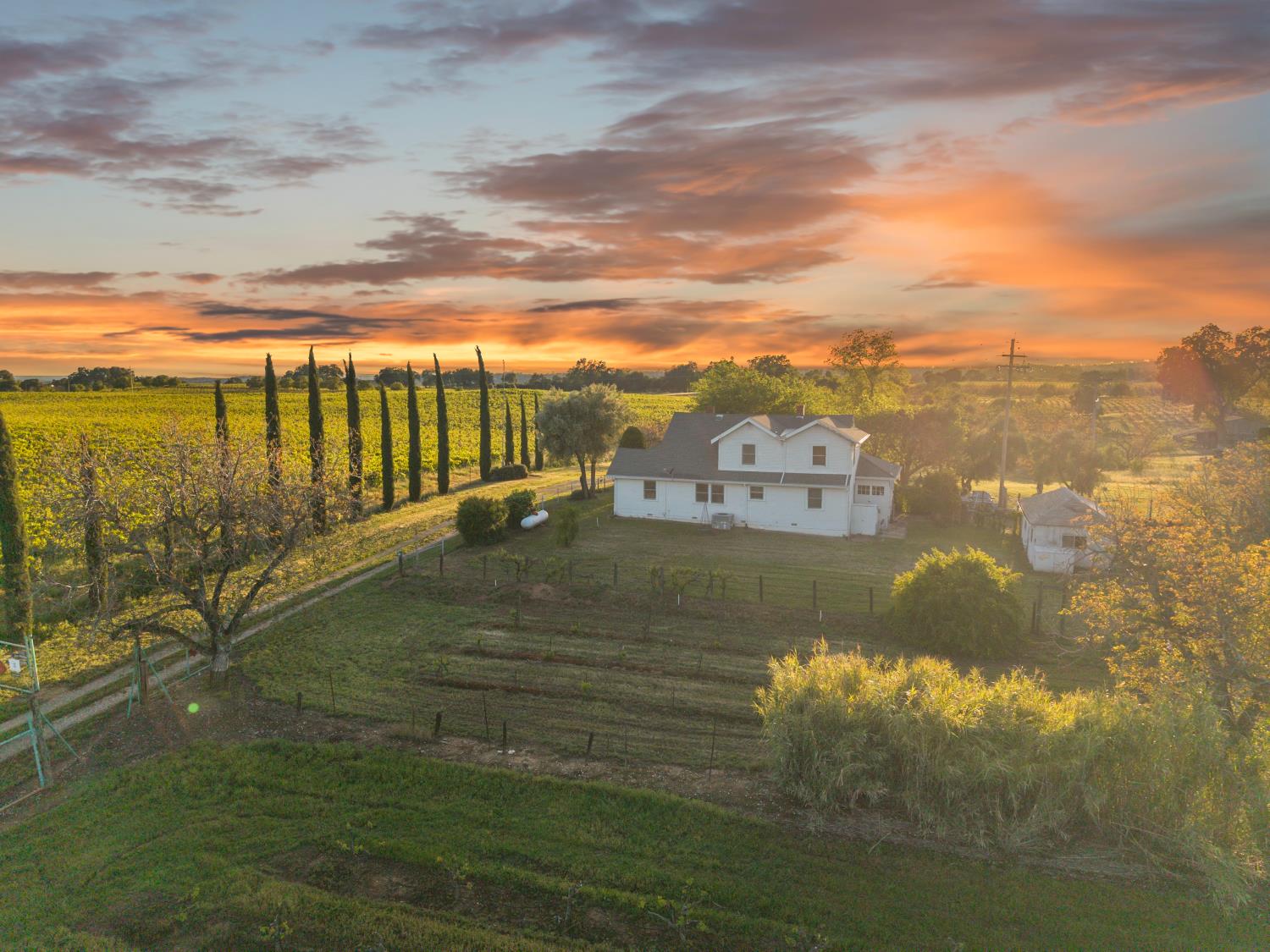 20865 Shenandoah School Road Plymouth, CA 95669 - Photo 5 of 69