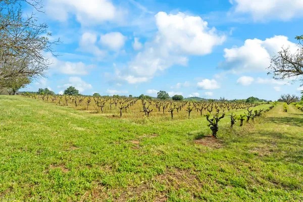 $1,900,000 | 20865 Shenandoah School Road, Plymouth, CA 95669