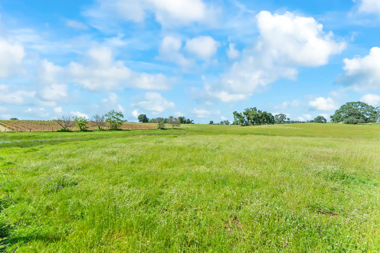 20865 Shenandoah School Road Plymouth, CA 95669 - Photo 56 of 69