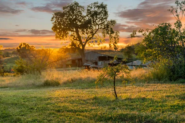 $1,900,000 | 20865 Shenandoah School Road, Plymouth, CA 95669