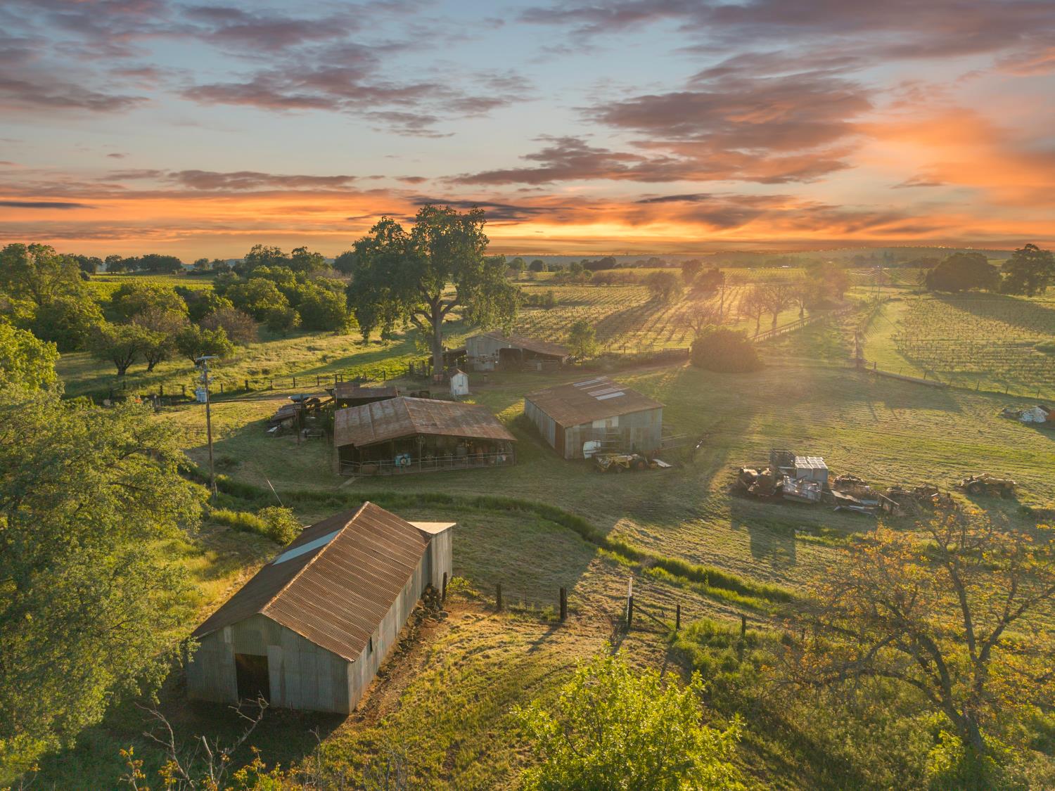 20865 Shenandoah School Road Plymouth, CA 95669 - Photo 6 of 69