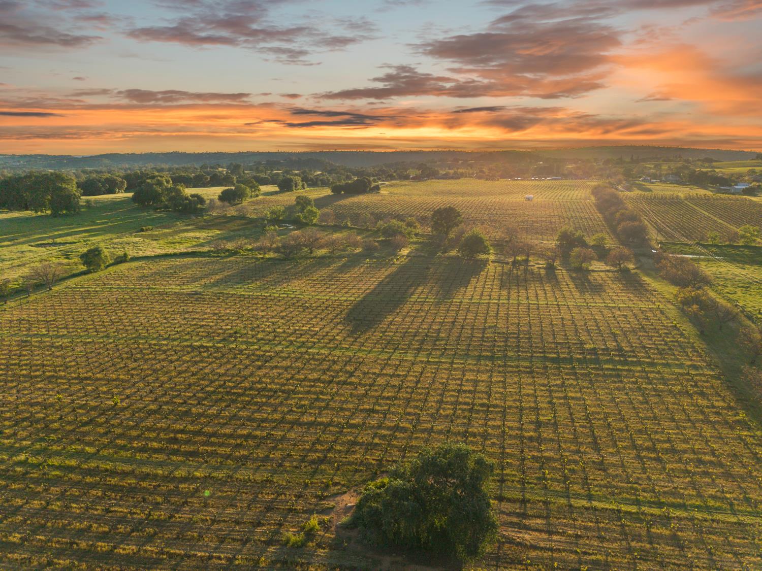 20865 Shenandoah School Road Plymouth, CA 95669 - Photo 63 of 69
