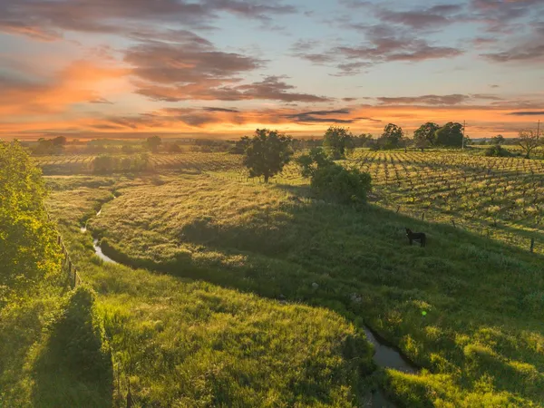 $1,900,000 | 20865 Shenandoah School Road, Plymouth, CA 95669