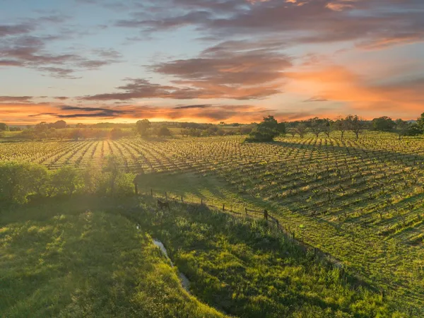 $1,900,000 | 20865 Shenandoah School Road, Plymouth, CA 95669