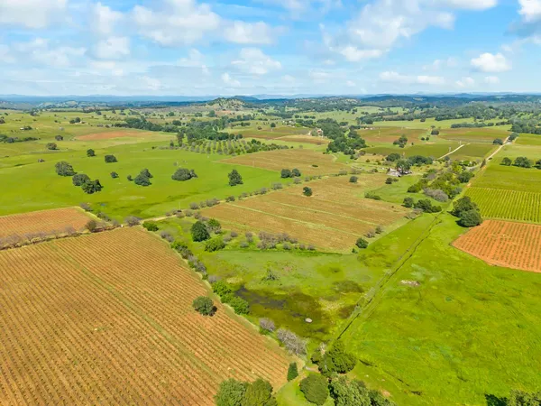 $1,900,000 | 20865 Shenandoah School Road, Plymouth, CA 95669