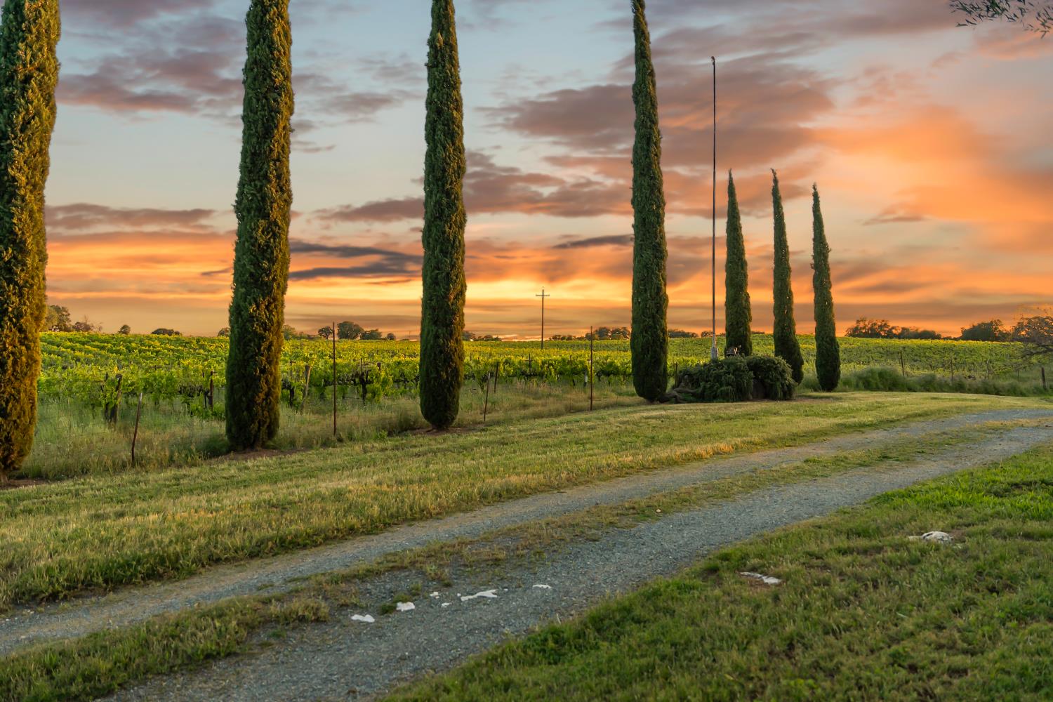 20865 Shenandoah School Road Plymouth, CA 95669 - Photo 7 of 69