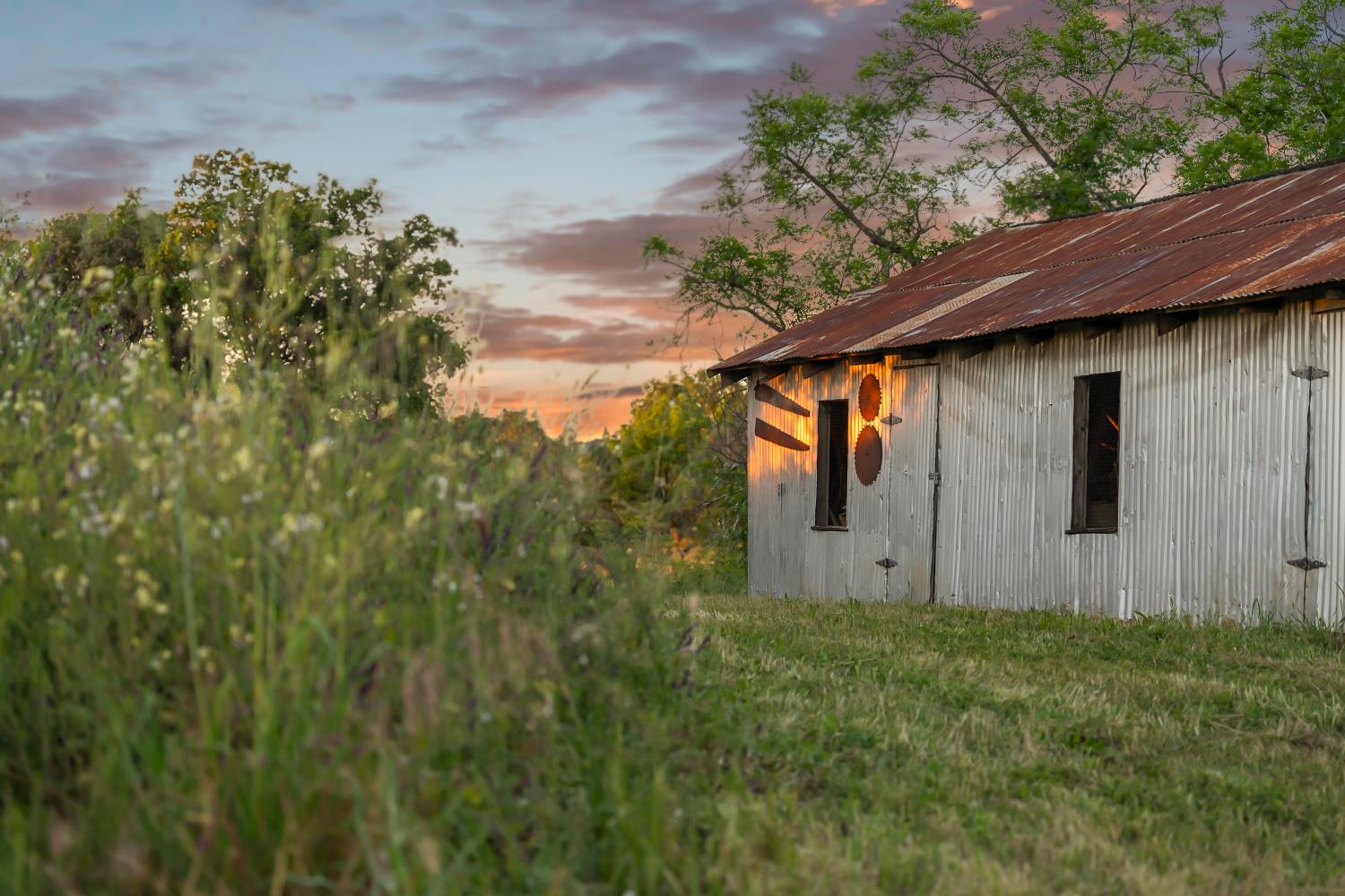 20865 Shenandoah School Road Plymouth, CA 95669 - Photo 8 of 69