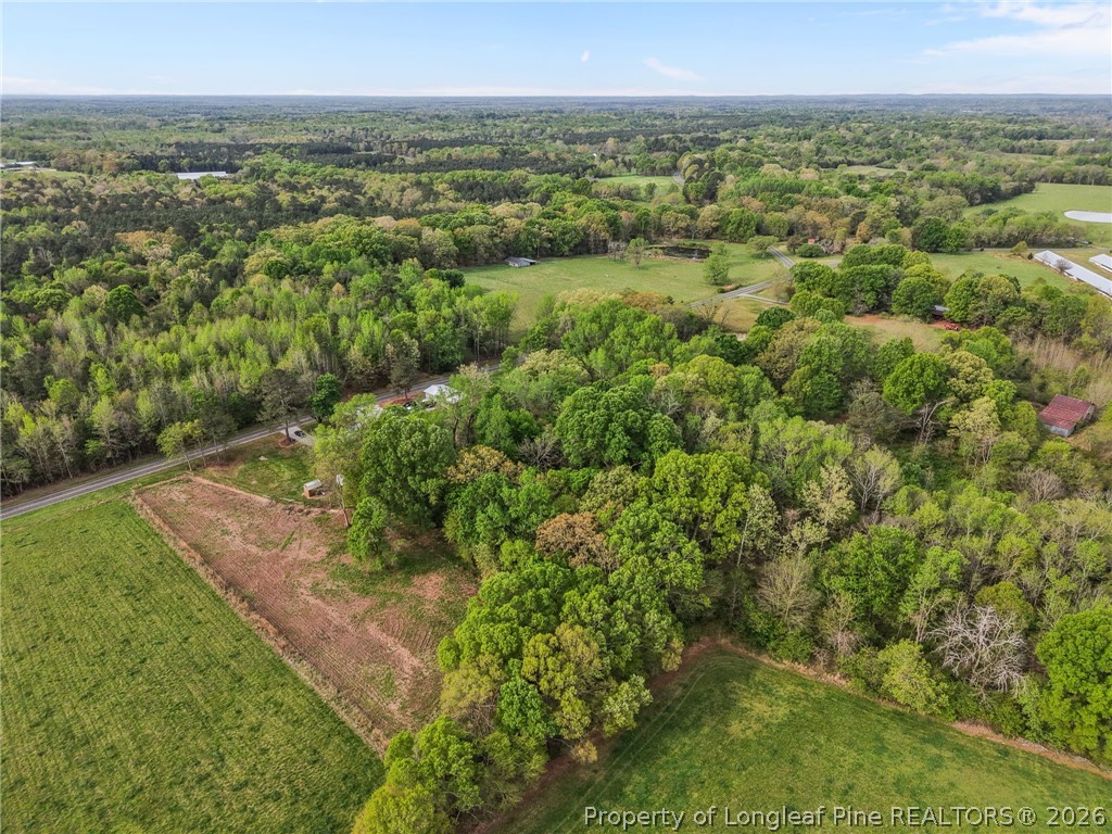 186 Lewis Brown Road Bennett, NC 27208 - Photo 44 of 48 a view of a green field with lots of bushes