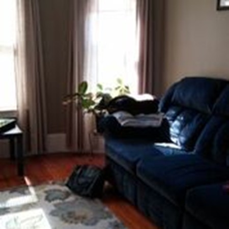 41 Windsor Road Somerville, MA 02144 - Photo 13 of 17 Gallery Image 13