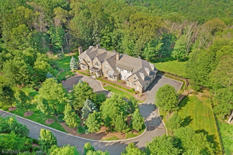 4 Rainetree Ridge Far Hills, NJ 07931 - Photo 2 of 50