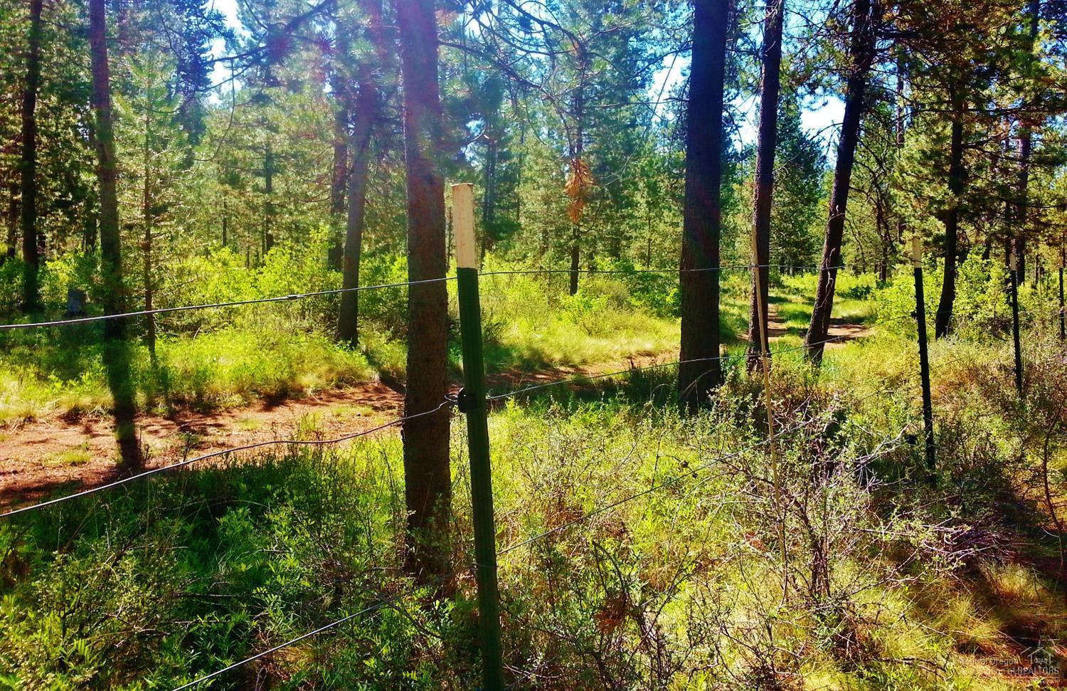 56124 Sandpiper Road Bend, OR 97707 - Photo 11 of 25 Vandevert Ranch Security Road