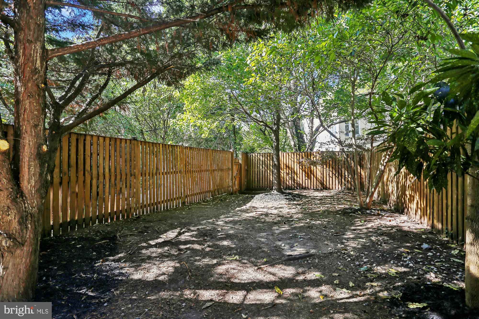 3222 13th Street Northwest, Unit 2 Washington, DC 20010 - Photo 9 of 52 a view of a backyard with tree