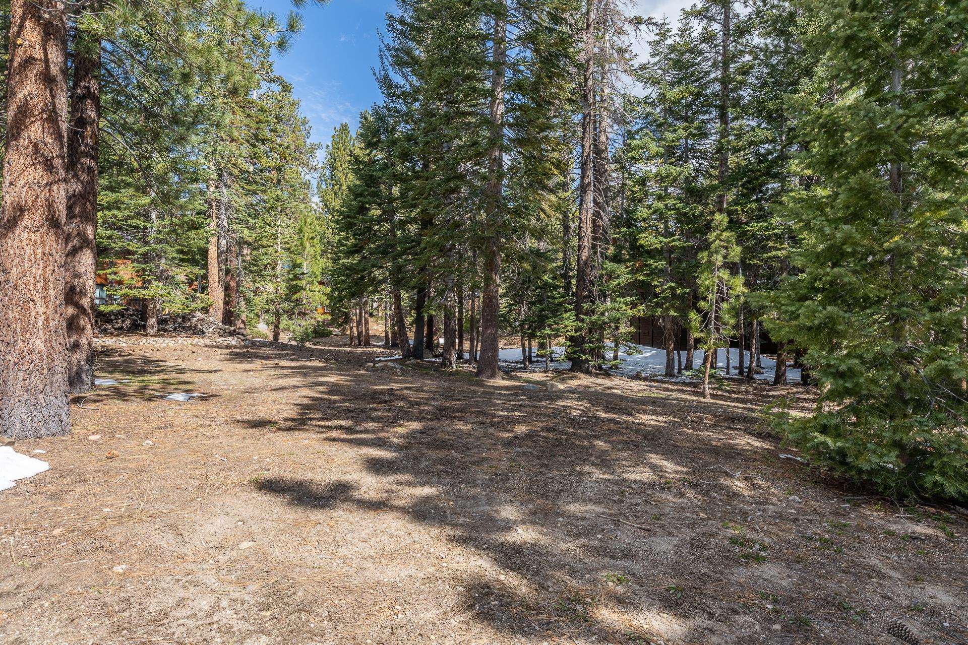 139 Ridgecrest Drive Mammoth Lakes, CA 93546 - Photo 64 of 65 Wooded lot featuring abundant mature evergreen trees