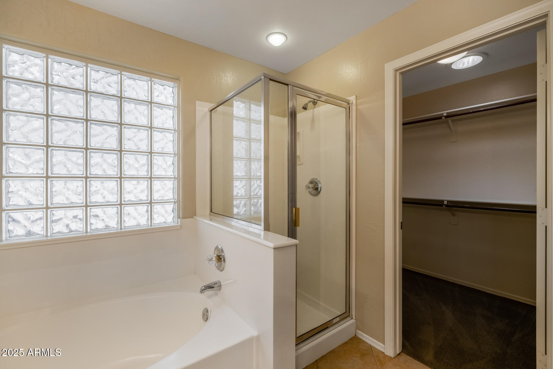 3404 East Los Altos Road Gilbert, AZ 85297 - Photo 20 of 31 19)MASTER BATH