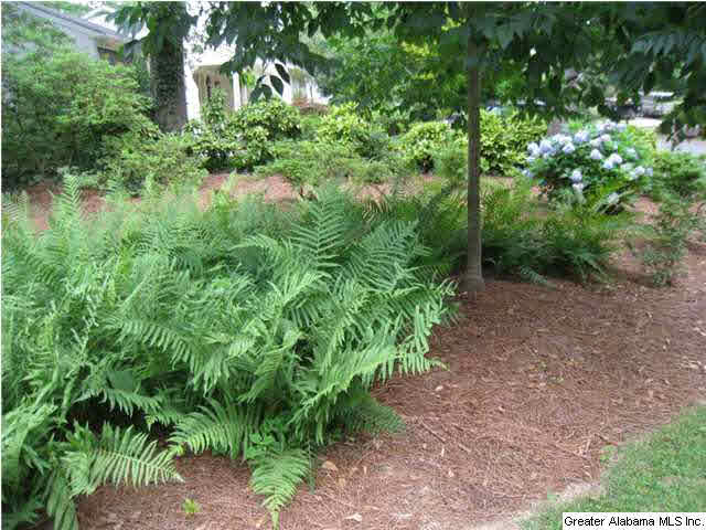 4008 Little Branch Road Mountain Brook, AL 35243 - Photo 25 of 25