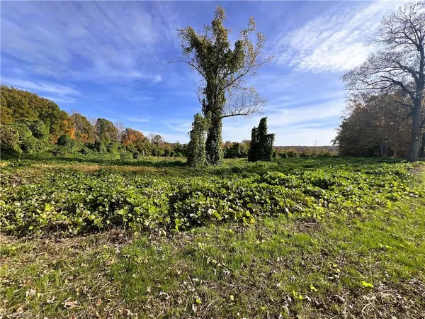 $800,000 | 8313 Wrights Farm Lane, Summerfield, NC 27358