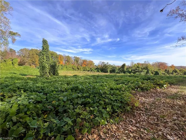 $800,000 | 8313 Wrights Farm Lane, Summerfield, NC 27358