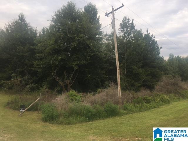 3922 County Road 16 Jones, AL 36749 - Photo 4 of 23
