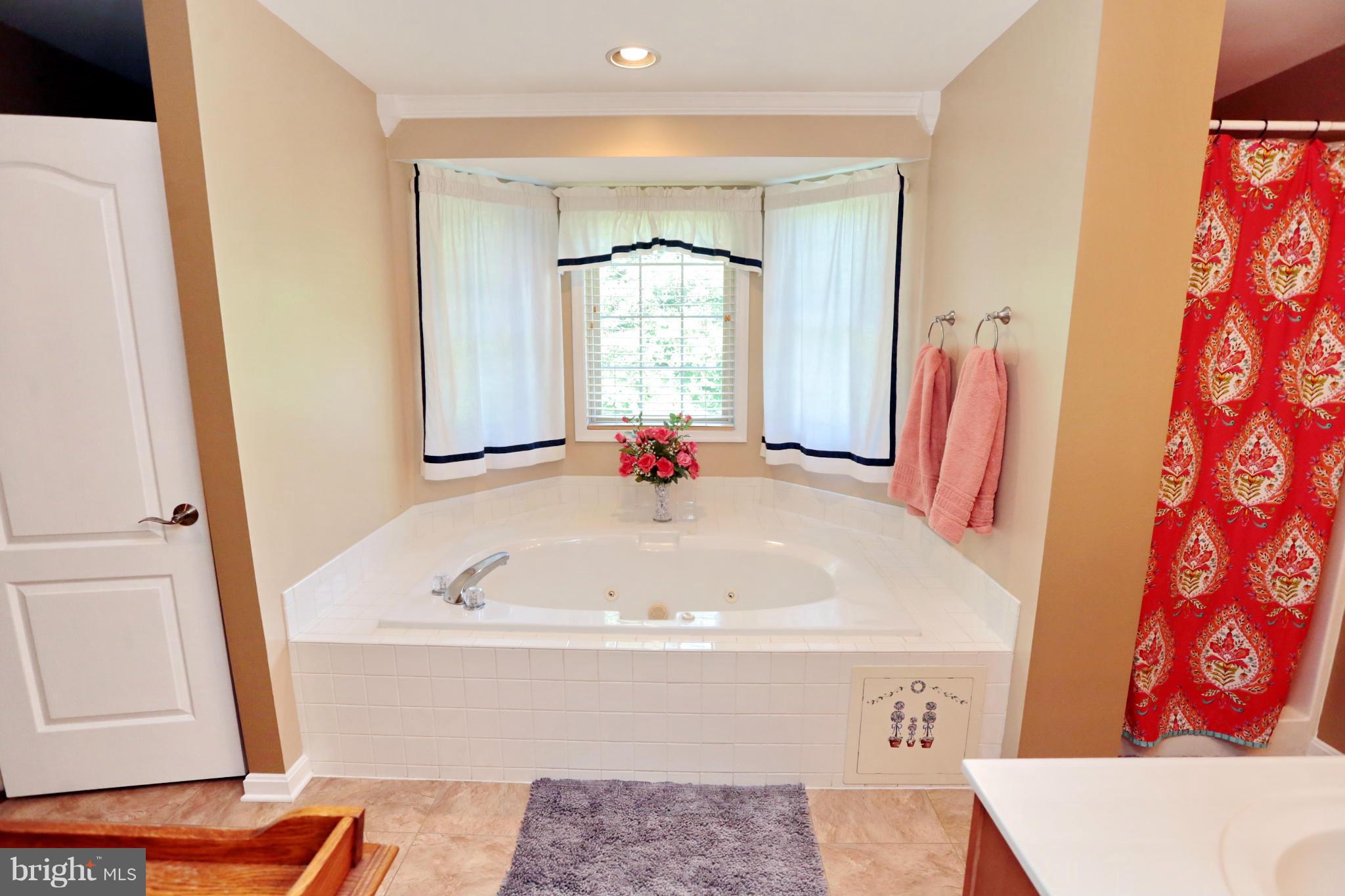 6865 Hawkins Gate Road La Plata, MD 20646 - Photo 15 of 30 Jetted Tub